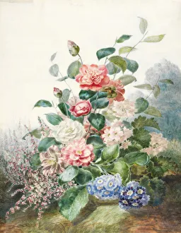 Various Flowers Growing in a Landscape Setting (w/c on vellum) Various Flowers Growing in a Landscape Setting (w/c on vellum)