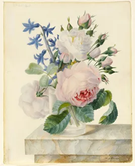 Vase Containing a Centifolia and an Alba Rose, with Buds Vase Containing a Centifolia and an Alba Rose, with Buds