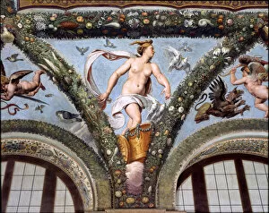 Amore E Psiche Collection: Venus on the cart, pulled by white doves, 1517-18 (fresco)