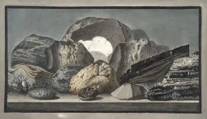 Vitrifications, and other Volcanic productions, Plate LII Vitrifications, and other Volcanic productions, Plate LII