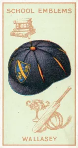Wallasey Grammar School, Cheshire (colour litho) Wallasey Grammar School, Cheshire (colour litho)