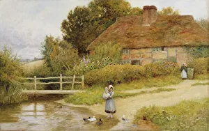 Watching the Ducks, (watercolour heightened with white) Watching the Ducks, (watercolour heightened with white)