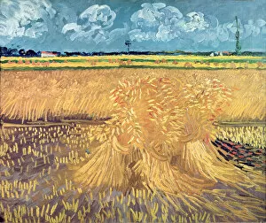 Wheatfield with Sheaves, 1888 (oil on canvas)
