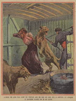 A young woman badly injured by a lion after entering a cage with a lion tamer in Rouen A young woman badly injured by a lion after entering a cage with a lion tamer in Rouen