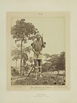Amau Collection: Amau Albert Frisch German 1840 1918 Brazil 1867