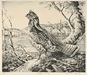 Liszt Collection Print of Artokoloro S. 449b