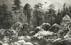 Swedish Forest Landscape Prints: August Winqvist Study Forest Hogdal Forest study