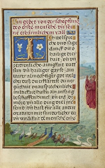 Border Creation Birds Fishes Simon Bening Flemish Border Creation Birds Fishes Simon Bening Flemish