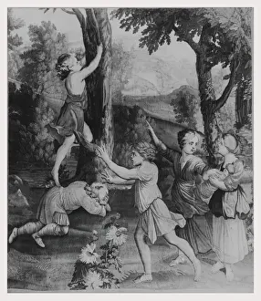 Boy Climbing Tree Prints: Boy climbing tree