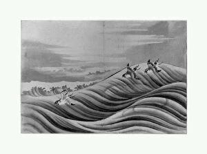 Sketches Collection: Chidori Birds Edo period 1615-1868 18th-19th century