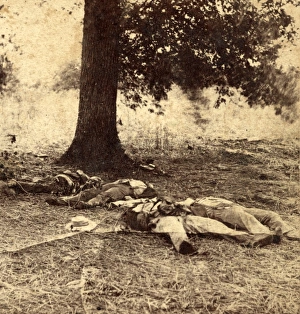 Confederate soldiers who had evidently been shelled by our batteries on Round Top Confederate soldiers who had evidently been shelled by our batteries on Round Top