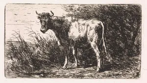Cow on the bank of a river, Jan Vrolijk, 1860 - 1894 Cow on the bank of a river, Jan Vrolijk, 1860 - 1894