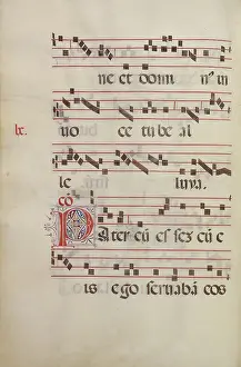 Italian Renaissance Manuscripts Prints: Decorated Initial P