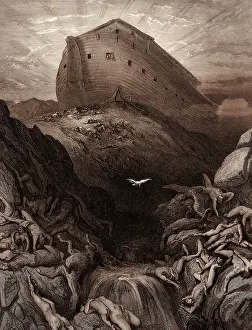 Prints of THE DOVE SENT FORTH FROM THE ARK, BY GUSTAVE DORE. Dore, 1832 - 1883, French. Engraving for the Bible. 1870, Art, Artist, holy book, religion, religious, christianity, christian Related Prints: The Dove Sent Forth from the Ark, Colour Engraving Print