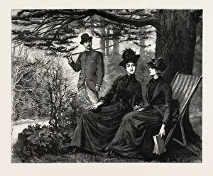 Vintage Print of a Majestic Cedar Tree