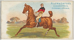 Elkwood World Racers series N32 Allen & Ginter Cigarettes Elkwood World Racers series N32 Allen & Ginter Cigarettes