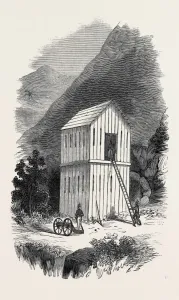 Crime And Punishment History Prints: Source Size = 1812 x 2995