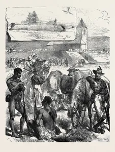 Zulu War Prints: Source Size = 3555 x 4696