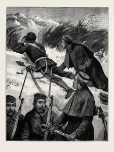 Vintage Engraved Illustration Art Prints: Source Size = 3568 x 4664