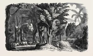 Victorian Era Woodcut Illustrations Prints: Source Size = 3643 x 2156