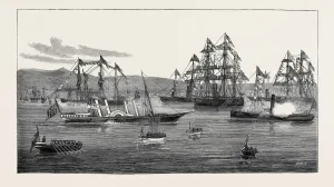 Vintage Nautical Illustration Prints: Source Size = 3759 x 2071