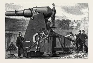 Engraved Vintage Illustrations Prints: Source Size = 3775 x 2523