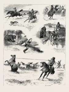 Vintage Horse Riding Images Prints: Source Size = 3806 x 4983