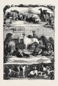Retro Styled Animal Art Prints: Source Size = 3975 x 5755