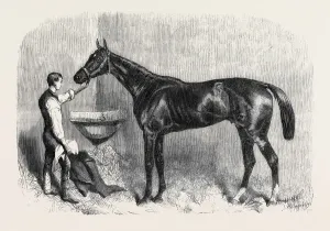 Victorian Era Horses Prints: Source Size = 3983 x 2732