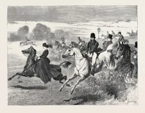 Vintage Horse Illustrations Prints: Source Size = 4953 x 3794