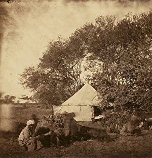 Faiyum Oasis Egypt 1860 1880 Tinted Albumen silver Faiyum Oasis Egypt 1860 1880 Tinted Albumen silver