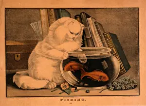 Whimsical Animal Art Prints: Fishing / E. B. & E. C. Kellogg, 245 Main St