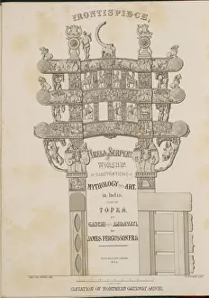 Tree and Serpent Worship Print, 1868