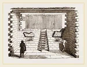 Natural History Museum Paris Prints: Hatching-room at Paris