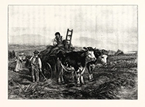 Hay-making in Switzerland, from the Picture by Henry Moore Hay-making in Switzerland, from the Picture by Henry Moore
