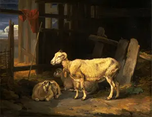 Oil On Canvas For Sale Prints: Heath Ewe and Lambs Signed and dated in black paint, lower left: J