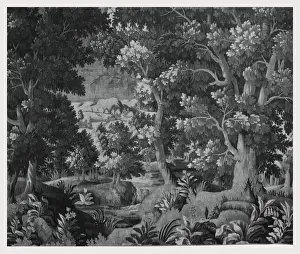 Outdoor Scenery Prints: Landscape stream