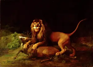 British Animal Paintings Prints: A Lion Attacking a Stag Lion devouring a stag, George Stubbs, 1724-1806, British