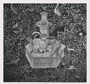 Monochromatic Artwork Prints: Narcissus