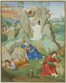 Full Page Miniature Agony Garden 1490-1500 Timoteo Viti Full Page Miniature Agony Garden 1490-1500 Timoteo Viti