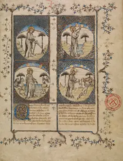 Scenes from the Creation