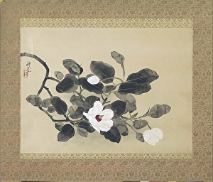 Scroll Painting with magnolia, Yamamura Koka, 1933 Scroll Painting with magnolia, Yamamura Koka, 1933