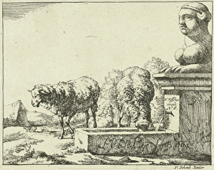 Two sheep at a trough, Marcus de Bye, Pieter Schenk (II), Nicolaes Visscher (I), 1664 Two sheep at a trough, Marcus de Bye, Pieter Schenk (II), Nicolaes Visscher (I), 1664