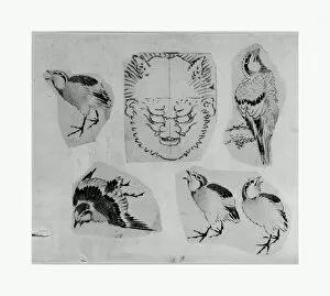 Sketches Collection: Four sketches birds design grotesque mask mounted together