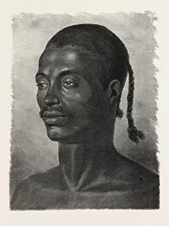 Print of an Abyssinian Cat, engraving on paper, Egypt 1879
