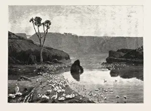 Egyptian History Pictures Prints: Source Size = 3056 x 4236