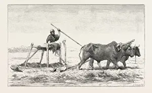 Middle East Culture Prints: Source Size = 3163 x 1897