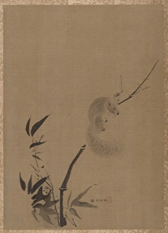 Squirrel Bamboo Edo period 1615-1868 ca 1650 Squirrel Bamboo Edo period 1615-1868 ca 1650