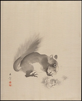 Squirrel Eating Chestnuts Meiji period 1868-1912 Squirrel Eating Chestnuts Meiji period 1868-1912