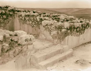 Tel Deweir Lachish Close view 3 steps backing Tel Deweir Lachish Close view 3 steps backing